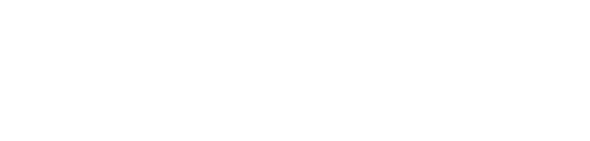 Slogan: Vielfalt Verein(t) im Dresdener Westen